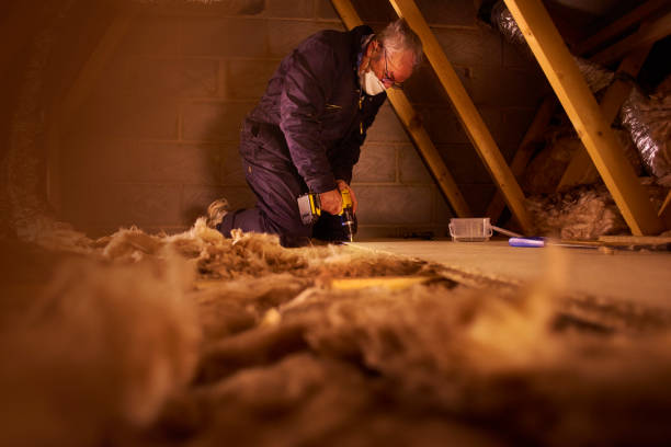 Best Geographic-Specific Insulation Services in Shorewood, IL