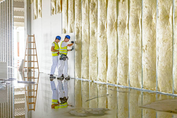 Best Eco-Friendly Insulation in Shorewood, IL